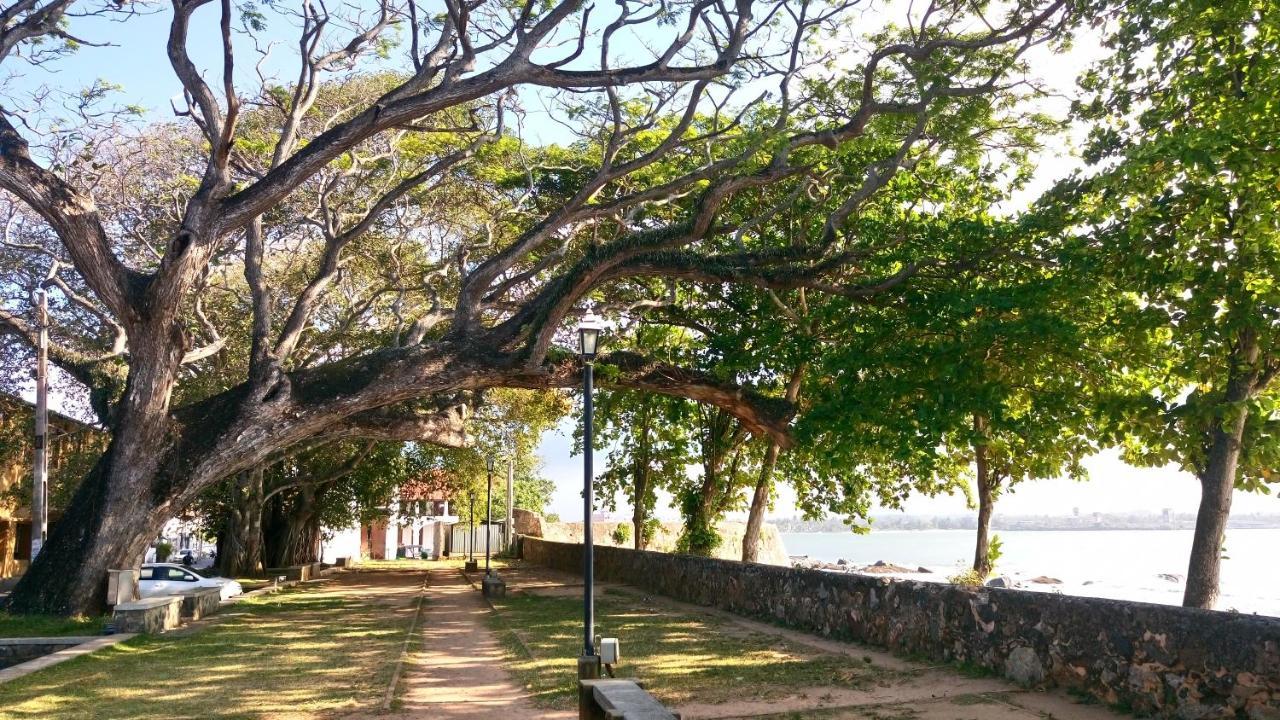 Oesis - Stylish Villa Steps From Historic Galle Fort Εξωτερικό φωτογραφία